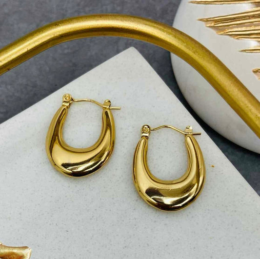 Gold hoop Earrings