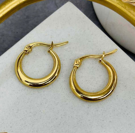 Circular Gold Earrings